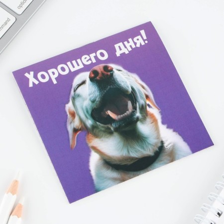 Блокнот 10х10, 16 листов МИКС «Животные»-3