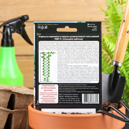 Cucumber seeds "RMT" F1 Superbound type, parthenocarpic, 5 pcs-1