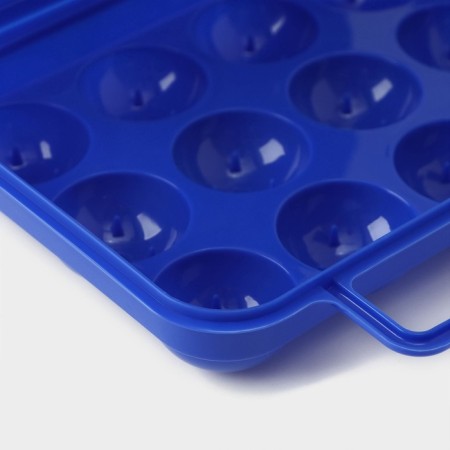 Container for storing eggs with a handle, 20 × 7 cm, 12 cells, color mix-4