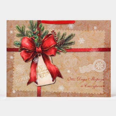 Laminated "envelope" package, XXL 46 x 61 x 20 cm-2
