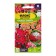Flox Seeds "Globe mixture", 0.1 gr.