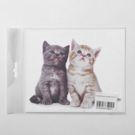 TAO41 kittens "Kittens", 15 × 18cm, beige color-2