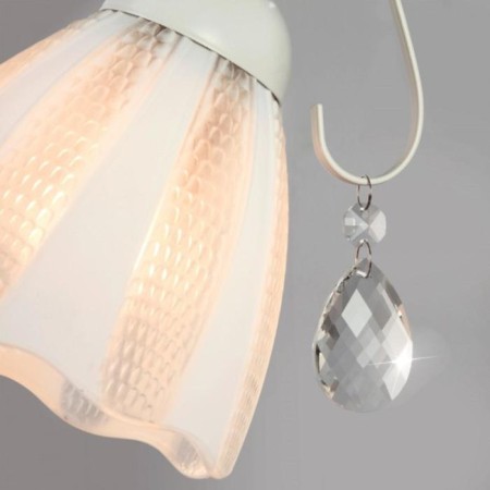 Bra Floranse, 1x60W E27, white color-3