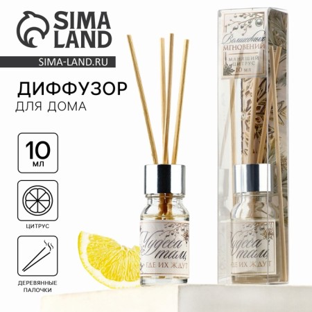 Diffusor Aromatic sticks New Year's “Magic Moments”, for the New Year, 10 ml, aroma of citrus