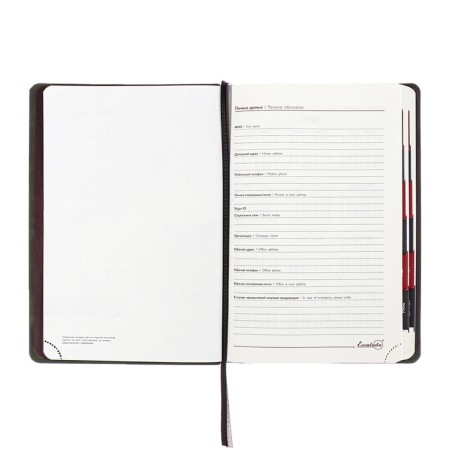 Dated 2025 diary, Escalada, A4, 120 sheets, soft cover, artificial leather, foil embossing, liesse, block 70 g/m2, brown-5
