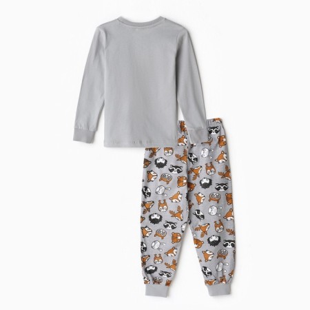 Pajamas for a boy, the color is gray/hedgehog, height 116 cm-3