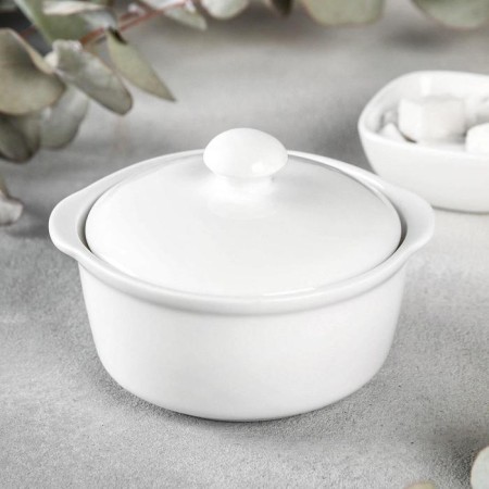 Broth with a lid, 300 ml, d = 11.5 cm
