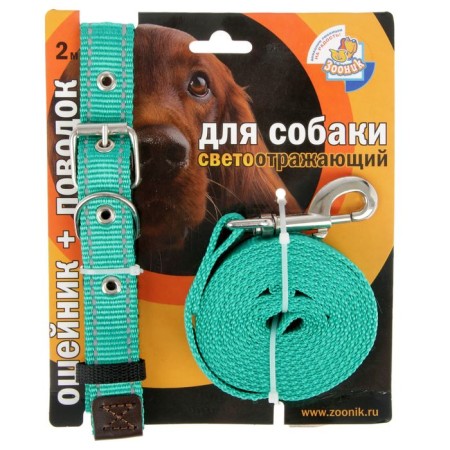 AMUNITION set The reflective "Zononic", Osh 37-51x2.5 cm, leash 2 m, kapron, green