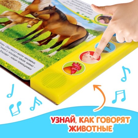 Musical book "Voices on the Farm", 10 p.-3