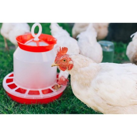 Bunker feeder for poultry at 5 kg, color mix-8