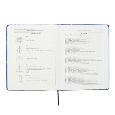 Universal diary for grades 1-11 Perfect, hard cover, artificial leather, foil embossing, tinted block, 48 sheets-11