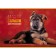 Album for drawing A4, 40 sheets, on paper clip, "favorite pets", covered cardboard, block 100 g/m², mix