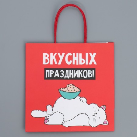 Package gift craft "Holidays", 22 x 22 x 11 cm, new year-6