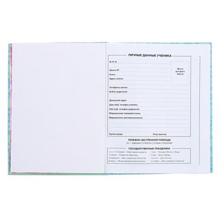 Universal diary for grades 1-11, 48 sheets "Techno Panther", integral cover, glossy lamination, foil embossing-4