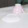 Tea steam porcelain "Tea rose", 2 items: a cup 200 ml, a saucer d = 15 cm