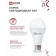 LED lamp In Home LED-A65-VC, 25 W, 230 V, E27, 6500 K, 2380 lm