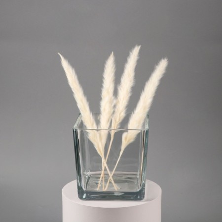 Vase "Square" 14x14cm, volume-1,7l transparent-1