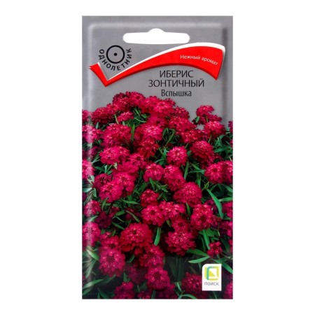 Flower seeds Iberis is an umbrella "flash", 0.3g.