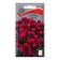 Flower seeds Iberis is an umbrella "flash", 0.3g.