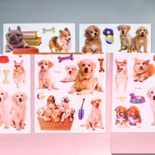 Plastic sticker 2D 