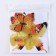 Set for decorating "Butterflies", 12 pcs, yellow color