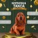 Piggy bank "Dachshund" height 17.5 cm, width 10 cm, length 23 cm