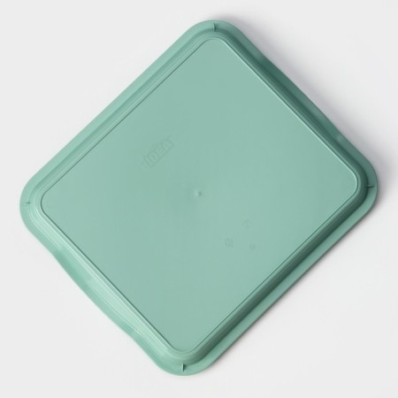 Plastic tray, 25 × 29 × 3.2 cm, pistachio color-3