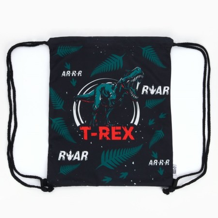 Bag for shoes t-Rex Textile, size 30 x 40 cm-3