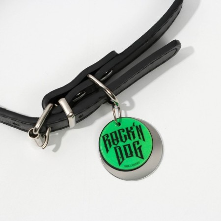 Rochin Dog dog collar with an addressee, Osh 27-34 cm-3