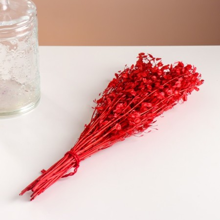 Set of dried flowers "Monetnik", banch length 45 (+/- 6 cm), red-3