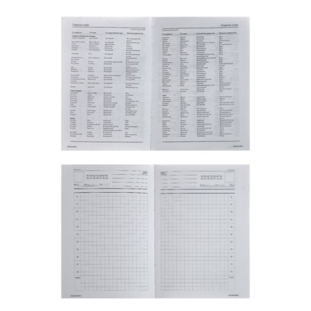 Diaumer Leduced A6, 128 sheets in the Magic Fox cage, hard cover, glossy lamination-3