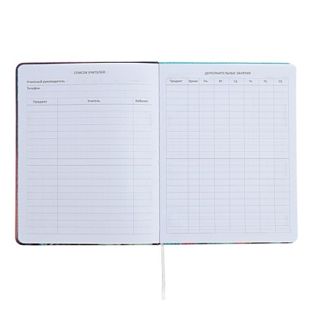 Universal diary for grade 1-11, hard cover, artificial leather, foam rubber, foil embroidery, liesse, 80 g/m2-5