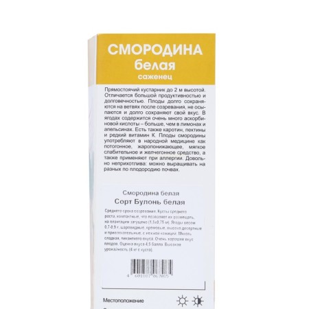 Currants white traditional varieties "White Boulog", tube, 1 pc, spring 2025-1