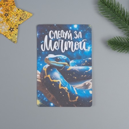 Growing postcard "Follow the dream" 10*15 cm