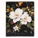 Notebook of 40 sheets, in the ruler, on the bracket "Flowers", the cover coated cardboard, mix