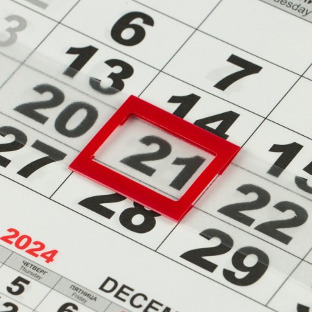 Calendar quarterly mono "Symbol of the year - 6" 2025, 30 x 46 cm-2