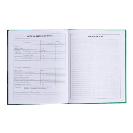 Diary for grades 1-4, solid cover "Drafting", glossy lamination, block 60g/m²-11