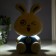 Table lamp 16285/1 15xLED 2W 2 USB MIX 10x12.5x22 cm Risalux