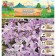 Hionodox Rose Quin, rr 5/+, 10 pcs, autumn 2024