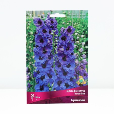 Delphinium High Harlequin, rr I, 1 pc, spring 2025