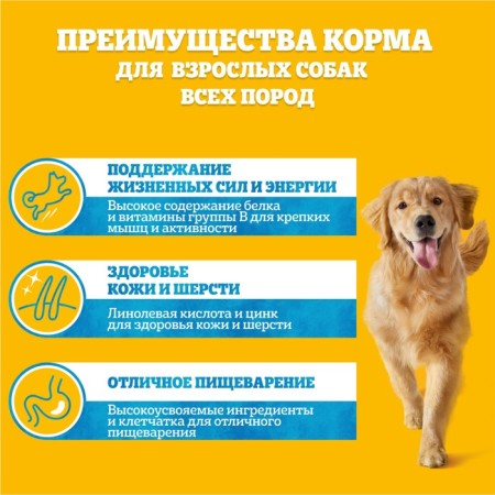Wet Pedigree food for dogs, beef/lamb in sauce, spider, 85 g-4