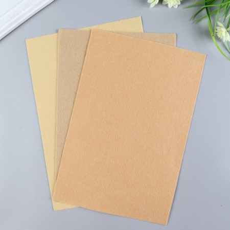 Soft felt 1 mm 20x30 cm St.-2