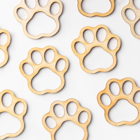 A set of blanks for creativity "Paws", 10pcs, 30 x 28 mm-1