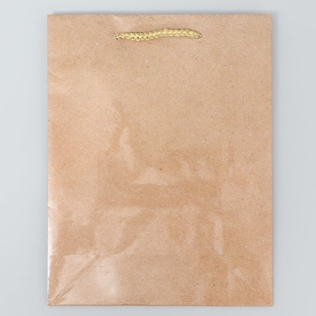 Gift Package Laminated, Packaging, Kraft, MS 18 x 23 x 8 cm-3