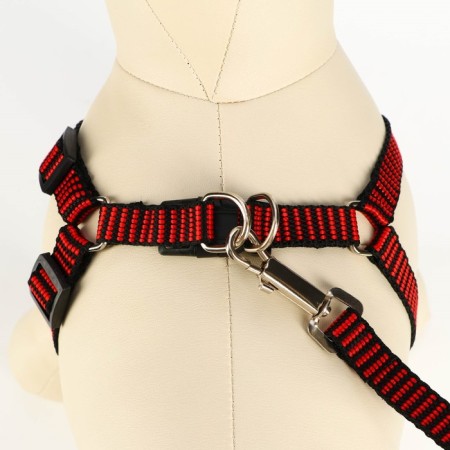 Acunition set of embossed, leash 120 x 1.5 cm, OG 36-49 cm, red-black-3