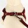 Acunition set of embossed, leash 120 x 1.5 cm, OG 36-49 cm, red-black