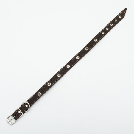 A single-layer leather collar with corrugated eyelets, dimensionless, 50 x 2 cm, Osh 36-44 cm, black-2