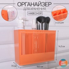 Organizer for storage 
