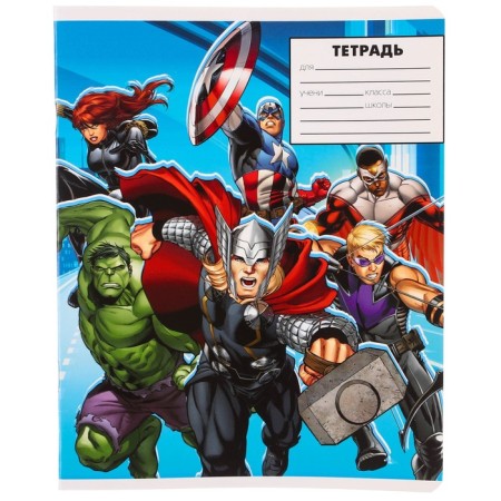 Notebook in a cage 24 sheets, 5 types of mix, cover coated paper, Avengers-12