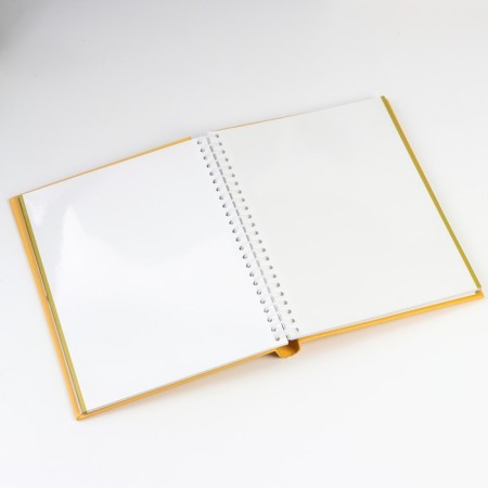 Photo album 30 magnetic sheets (60 steers) "Dandelions" 23x28 cm-2